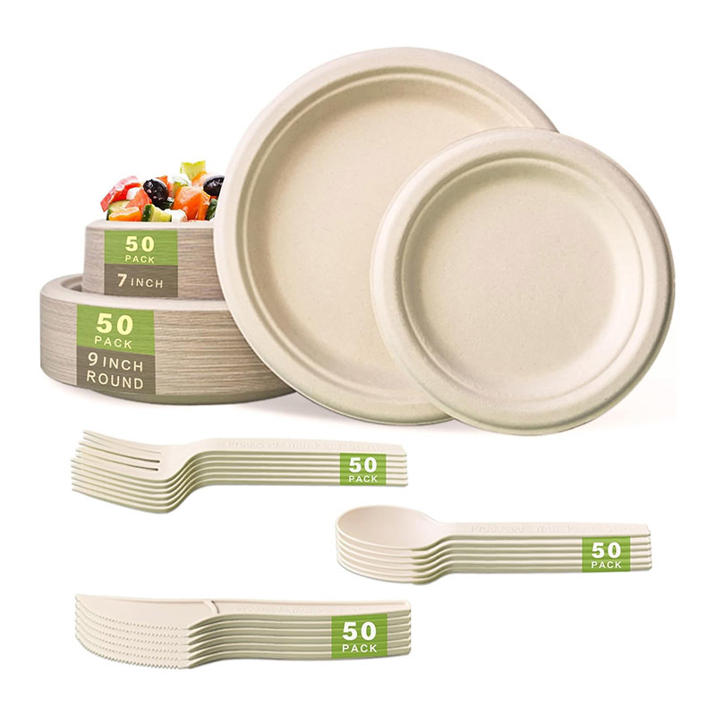 Biodegradable Paper Plates Set