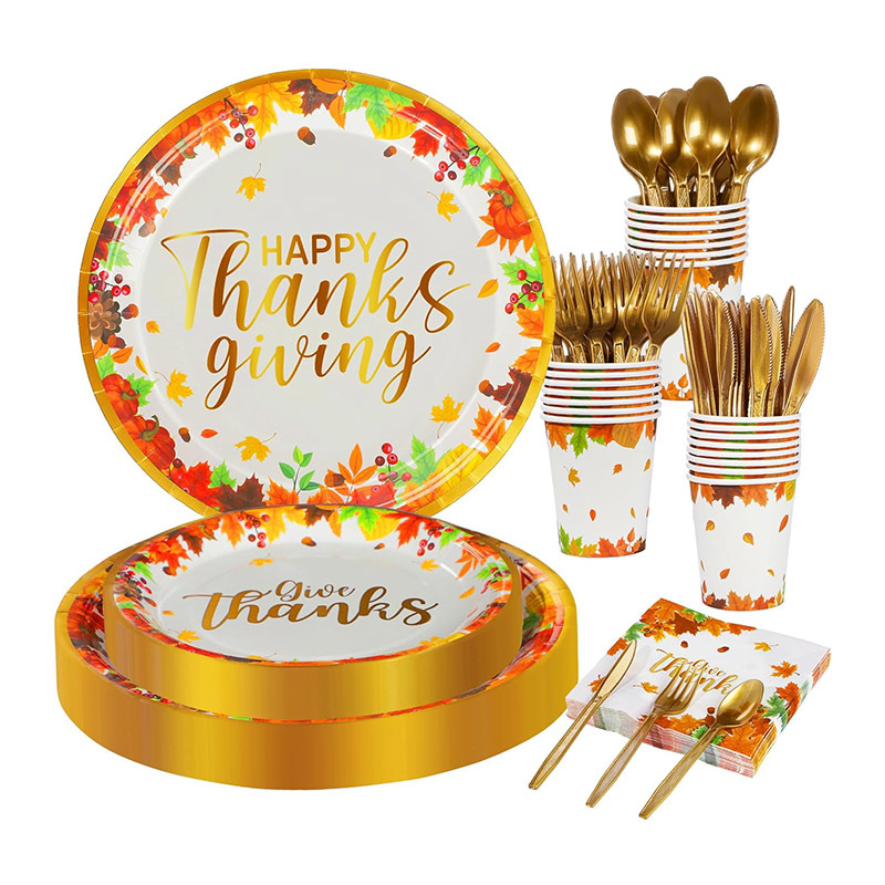 Disposable Dinnerware Set