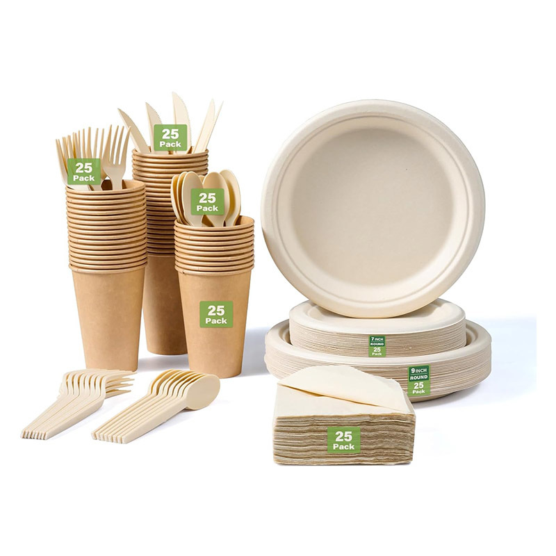 Eco-friendly Paper Tableware